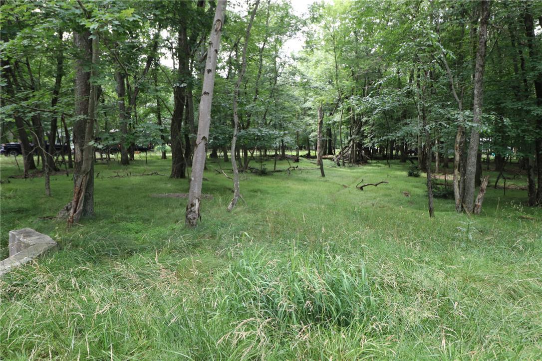 Image 3: A tranquil, wooded lot offers natural privacy and