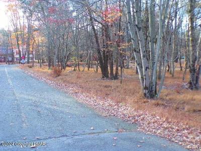 Wintergreen Trail