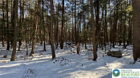 Treetop Lane
