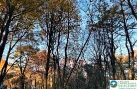 1807 Penn Forest Drive