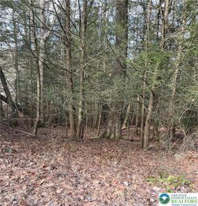 2287 Locust Ridge Road