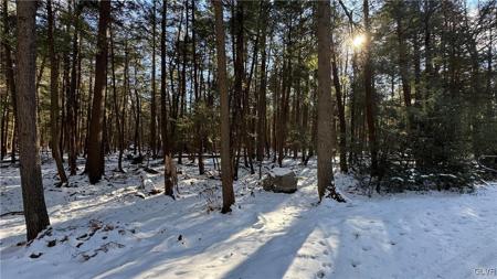 Treetop Lane