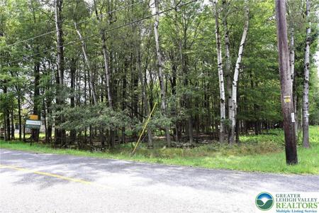 974 Stony Mountain