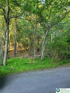 5120 Pine Tr Lane