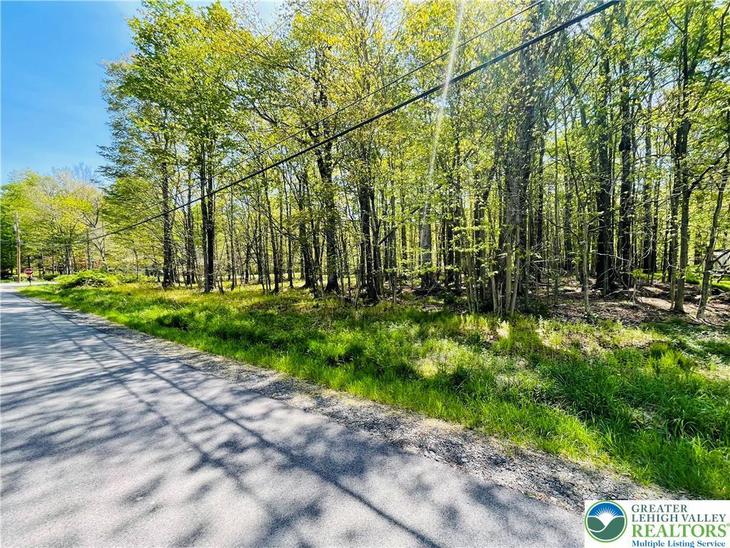 Image 2: This serene wooded lot offers ample space for buil