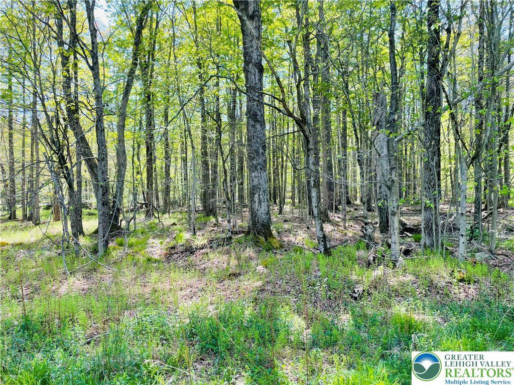 Image 3: This tranquil wooded lot offers a private, natural