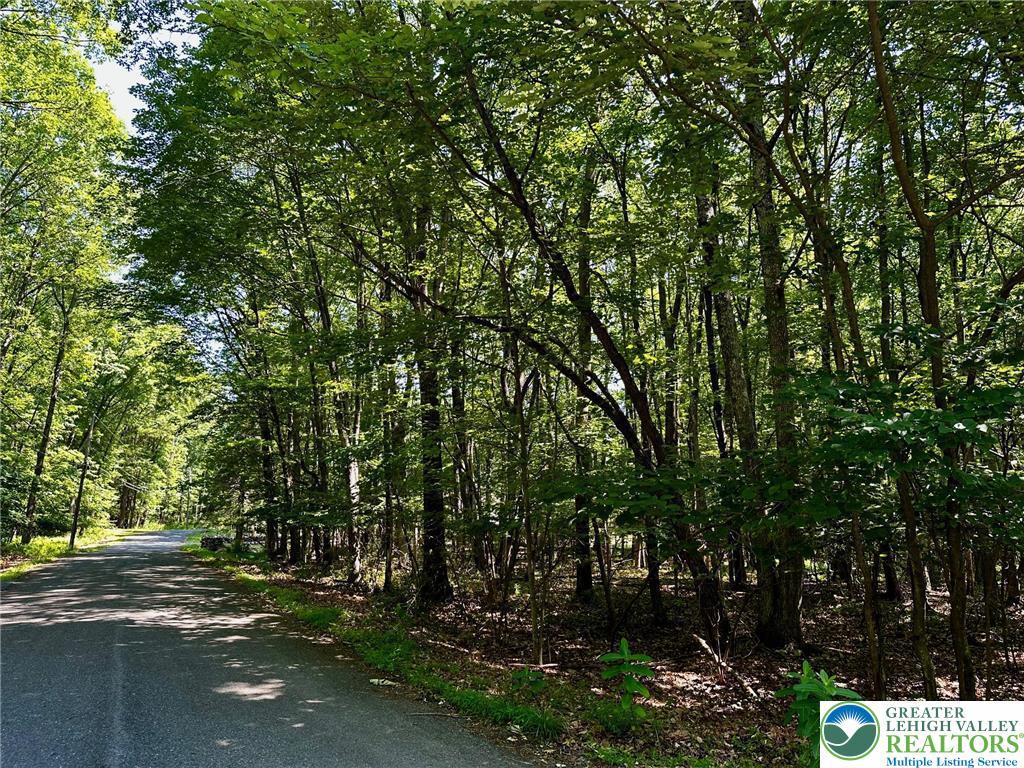 Image 1: 1.29-acre level, wooded CORNER lot!