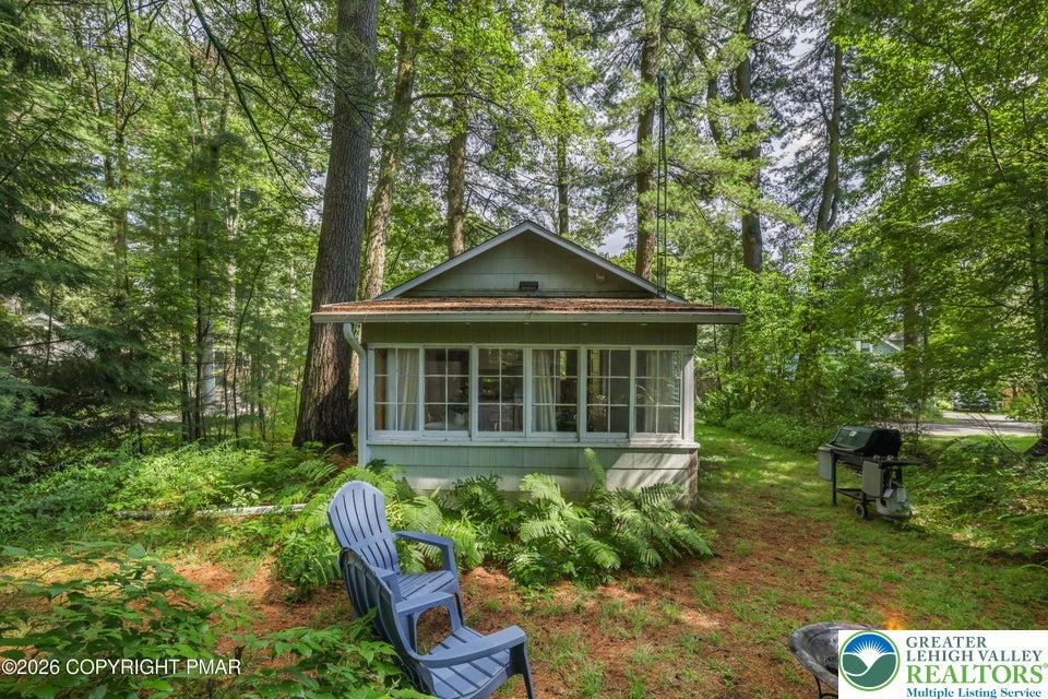 Image 4: A secluded cabin, nestled amongst towering trees,