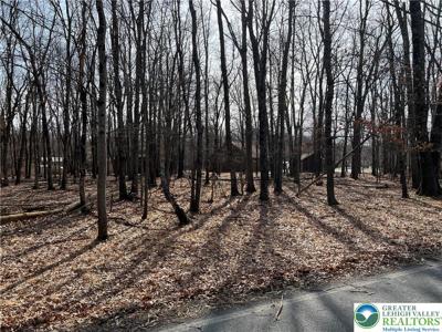 503 Woodland Road