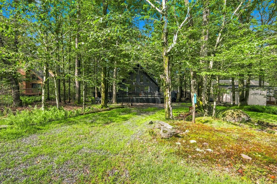 Image 3: Nestled amidst verdant trees, a charming cabin awa