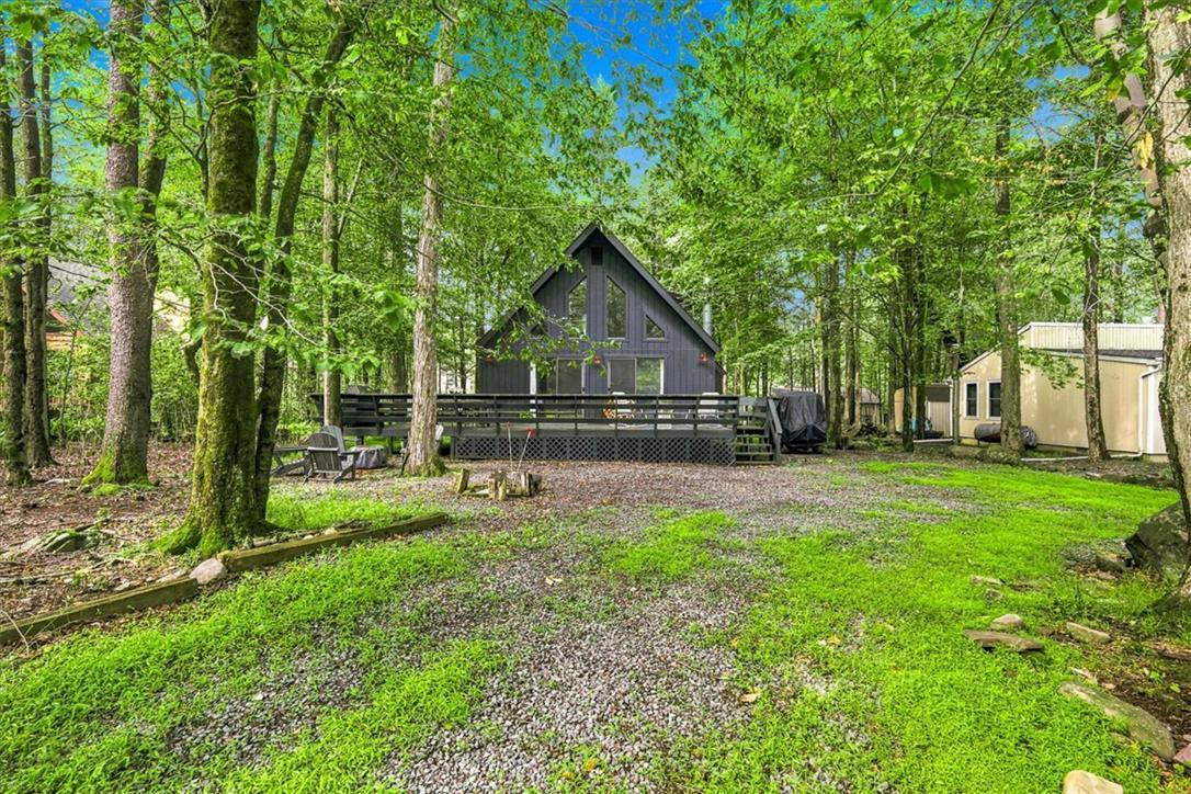 Image 4: Nestled amidst towering trees, a charming A-frame