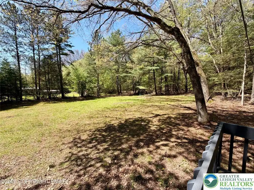 Image 1: A verdant, open field extends into a dense tree li