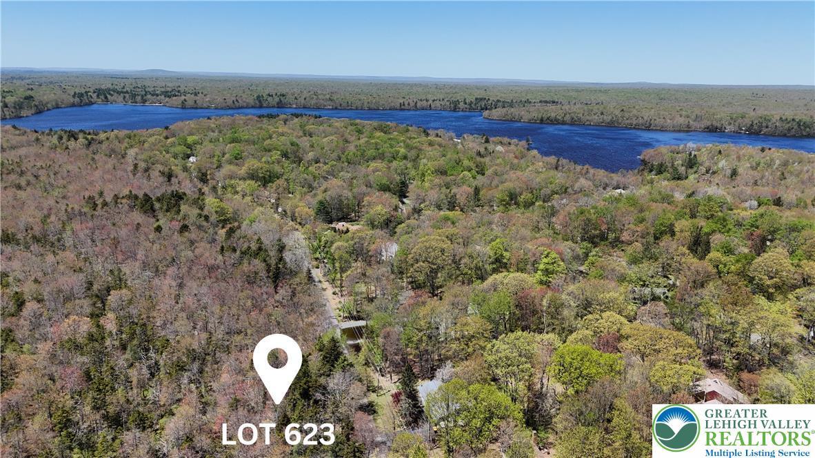 Image 1: Aerial View/Proximity to Lake