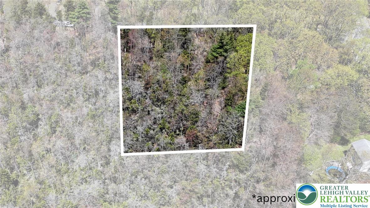 Image 2: Aerial View/Approximate Lot Lines