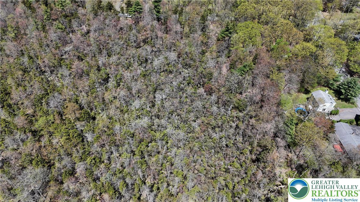 Image 3: Aerial View