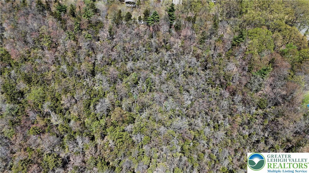 Image 3: Aerial View