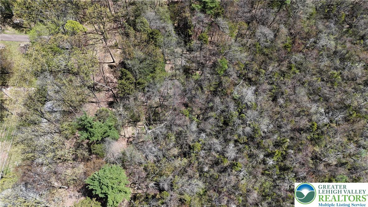 Image 4: Aerial View