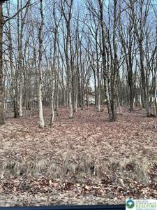 436 Mountain Road