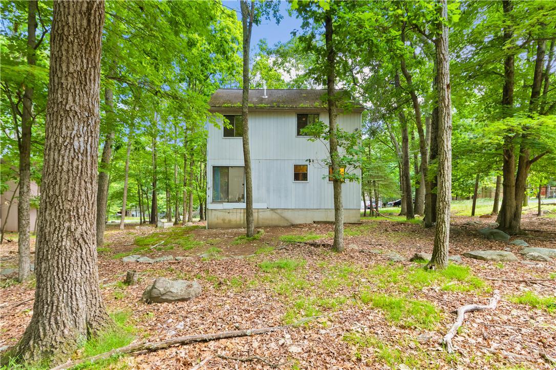 Image 2: A secluded modern home nestled amidst a vibrant, m
