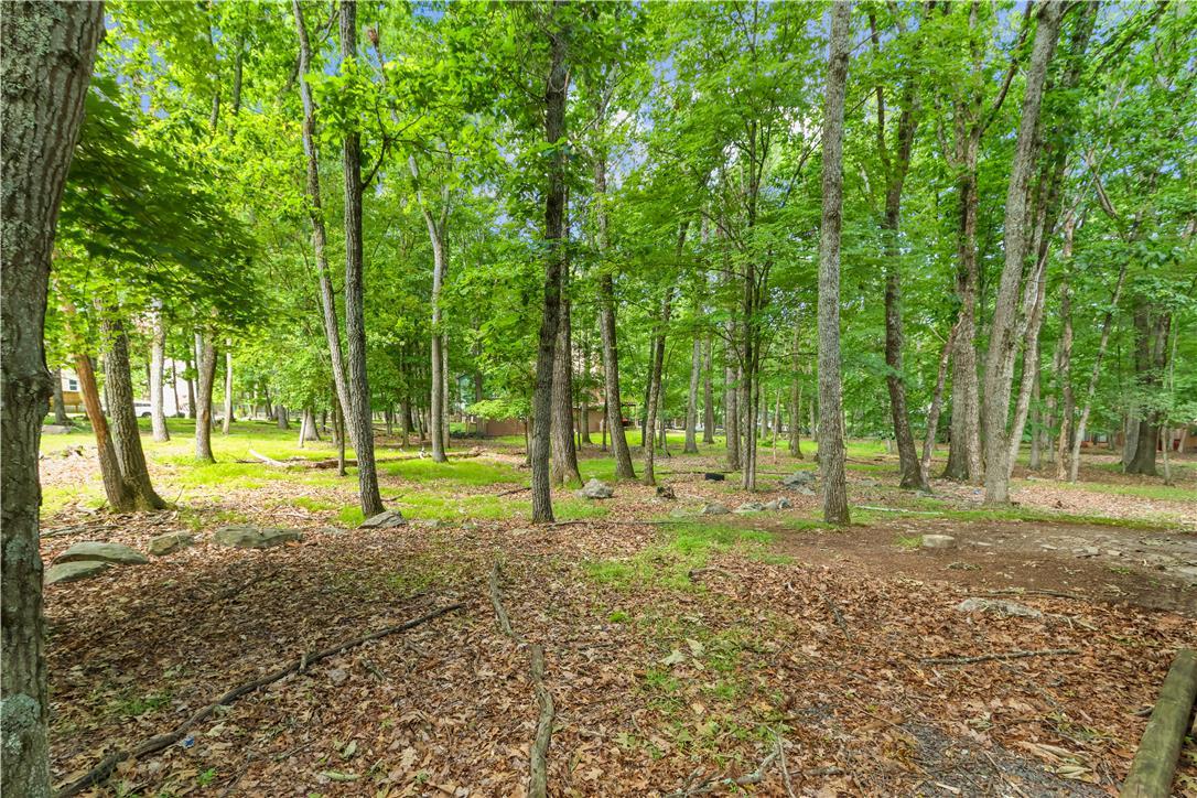 Image 3: Mature trees and natural ground cover define this