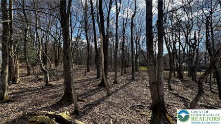 1010 Stony Mountain Road