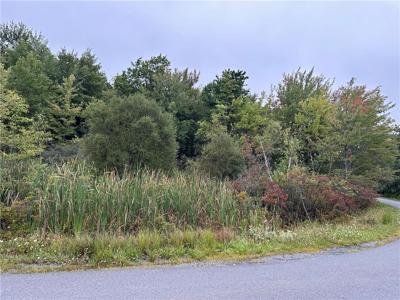 1325 Glade Drive Lot 7143