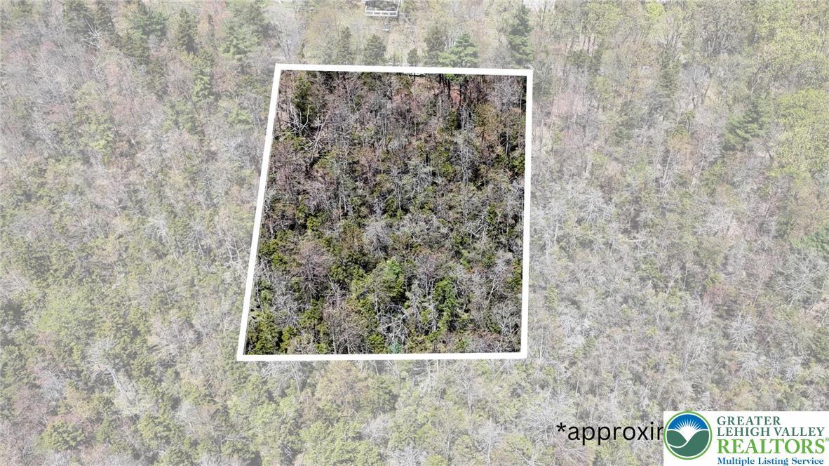 Image 2: Aerial View/Approximate Lot Lines