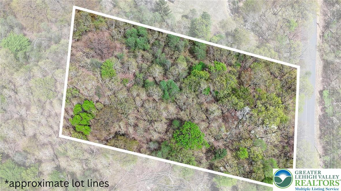 Image 4: Aerial View/Approximate Lot Lines
