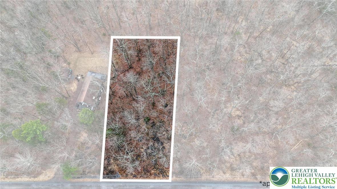 Image 3: Approximate Lot Lines