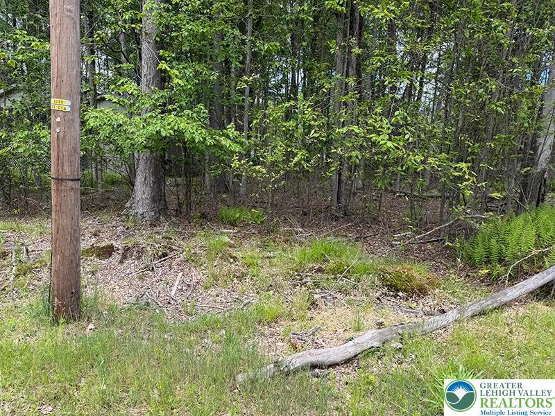 Image 2: A verdant, wooded lot awaits your future home.