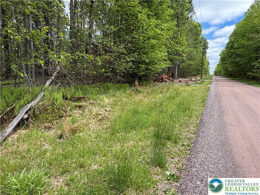 Image 3: A tranquil, tree-lined lot awaits your dream home