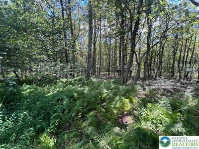 Lot 20ALAS Piney Woods Drive