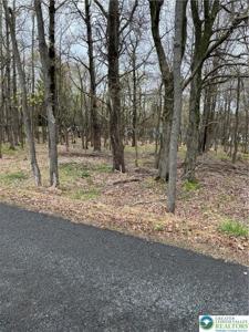 255 Pontiac path Trail