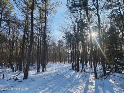 Masters Trail