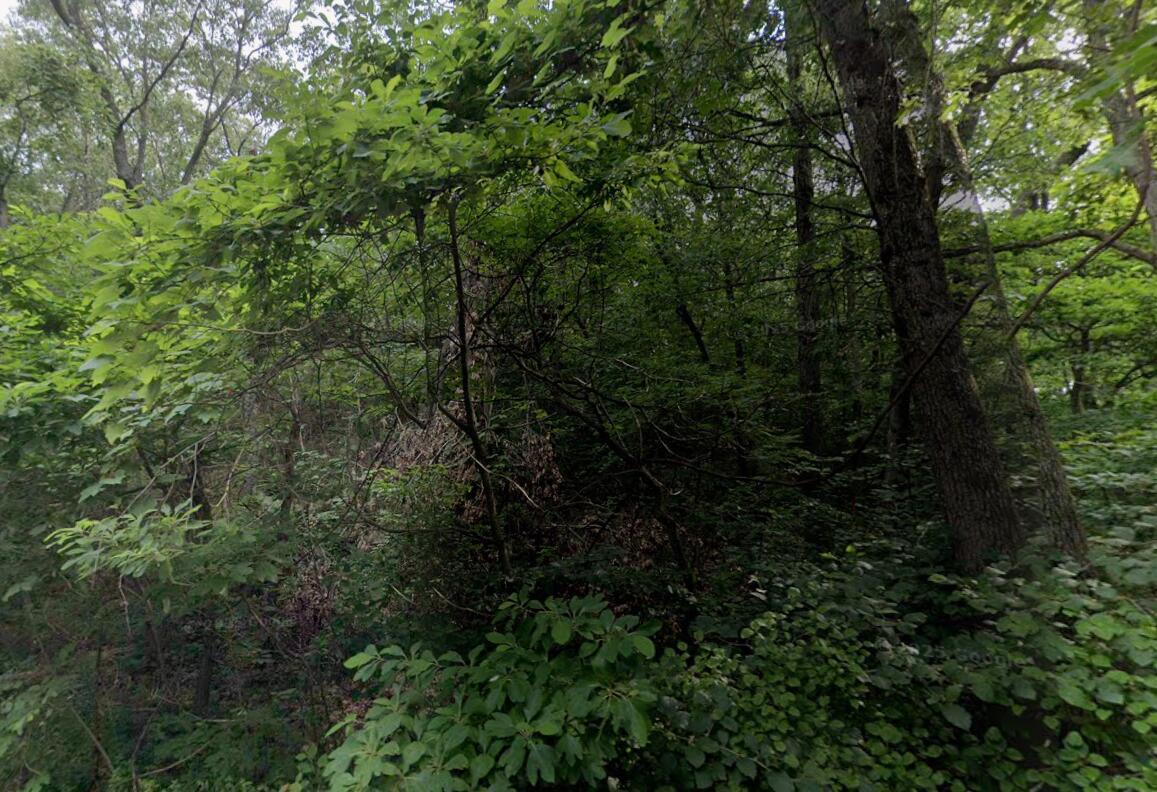 Image 3 Image 3