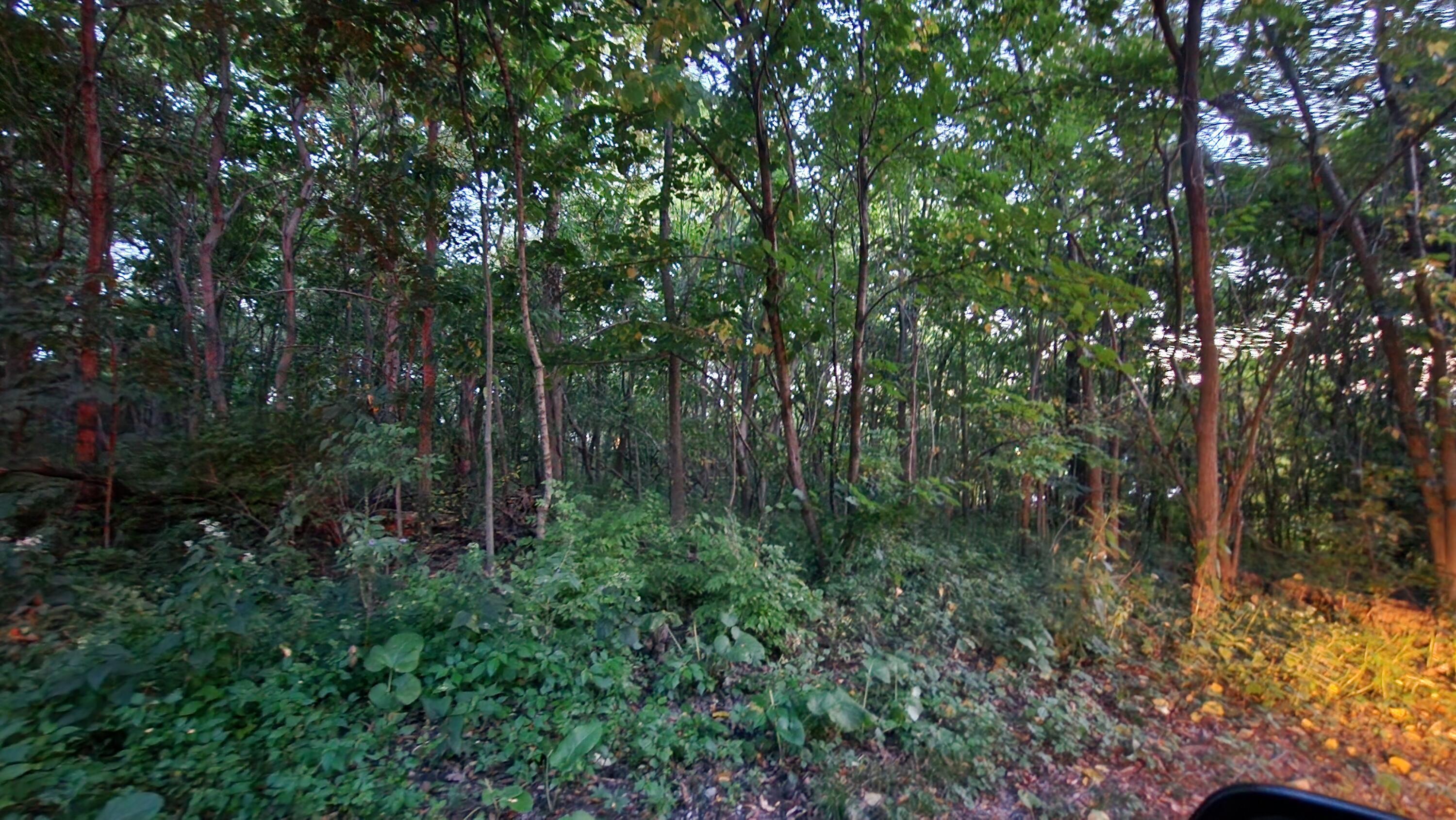 Image 3 Image 3