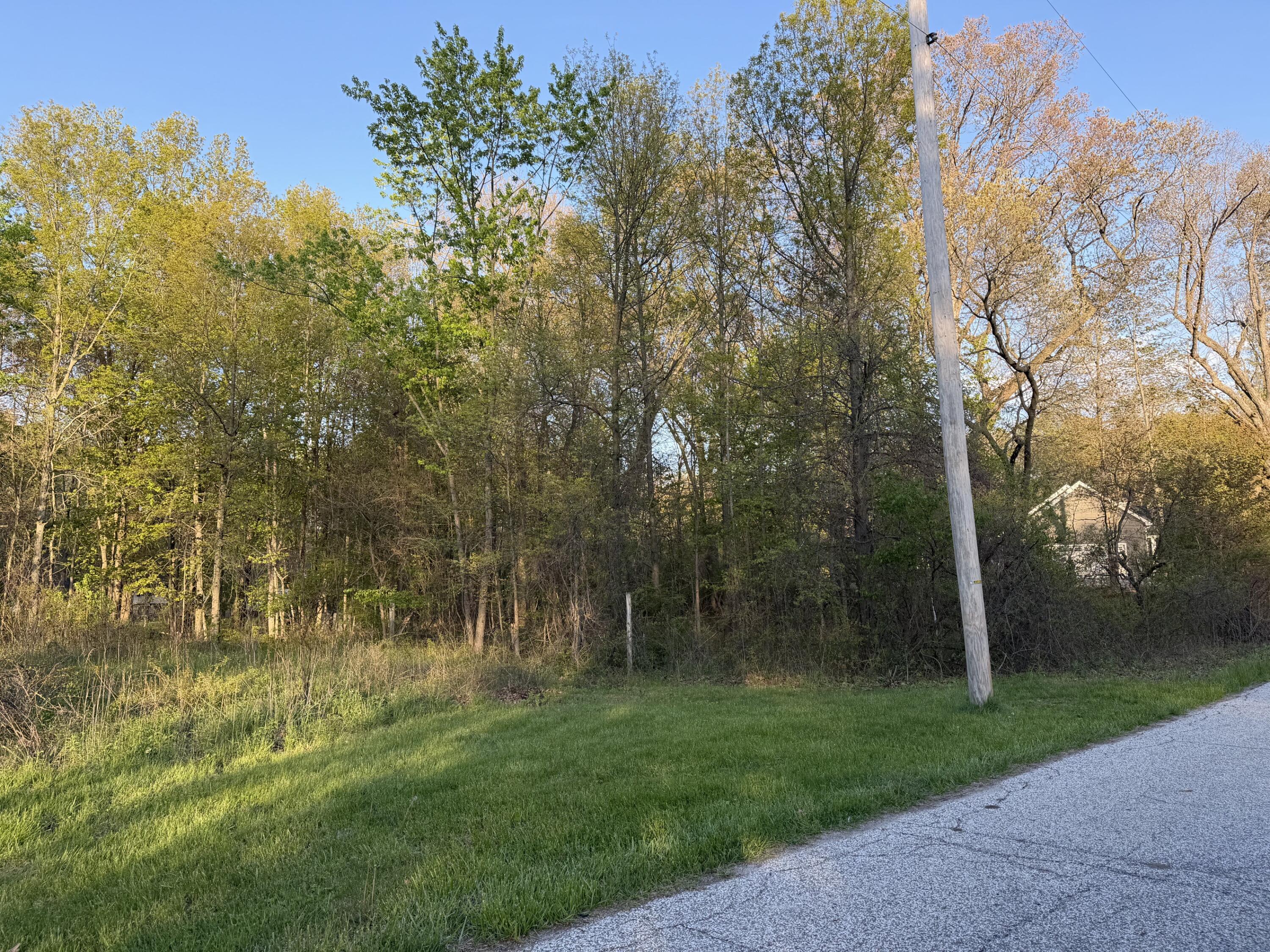 Image 1 Image 1