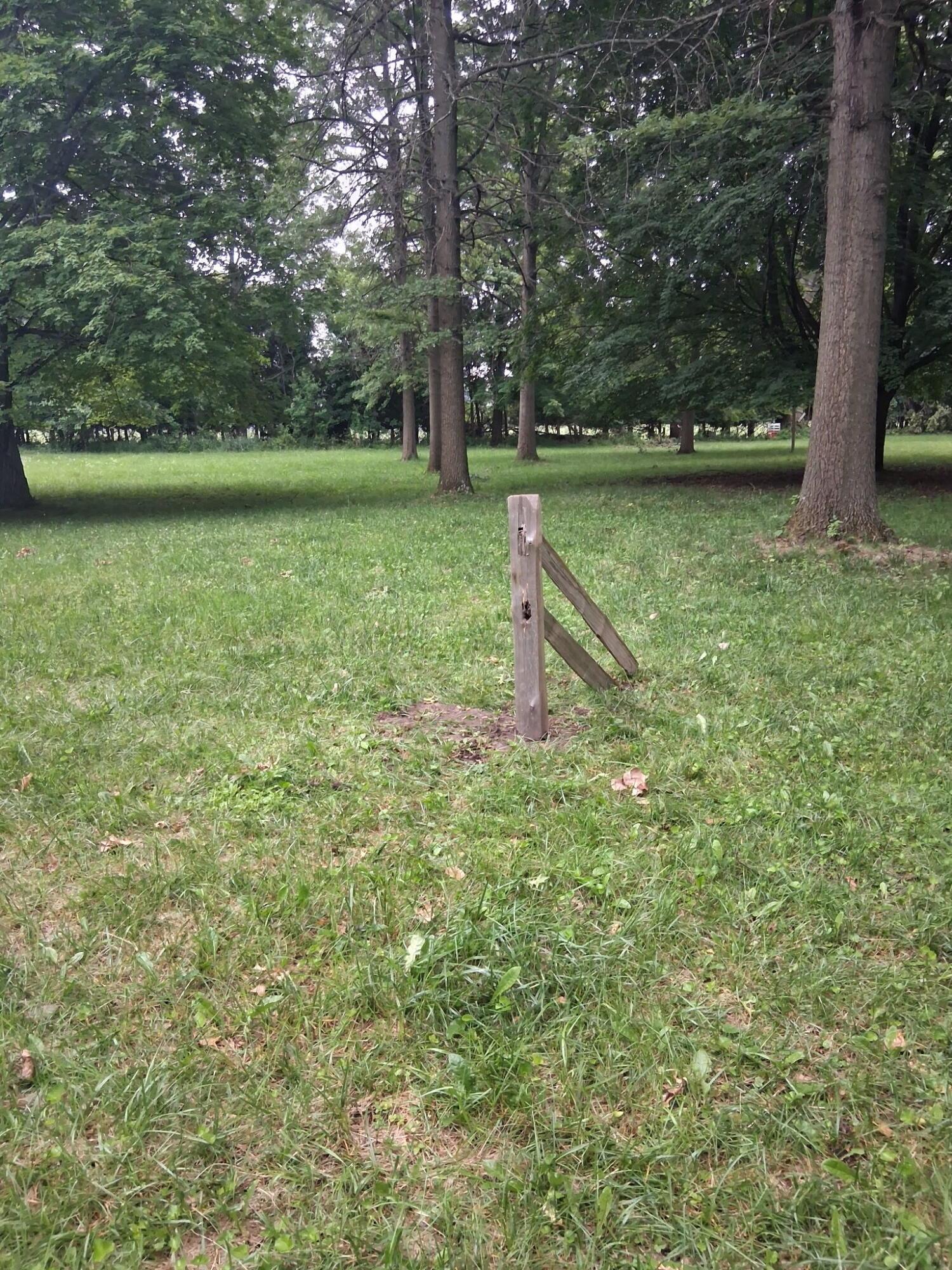 Image 3 Image 3
