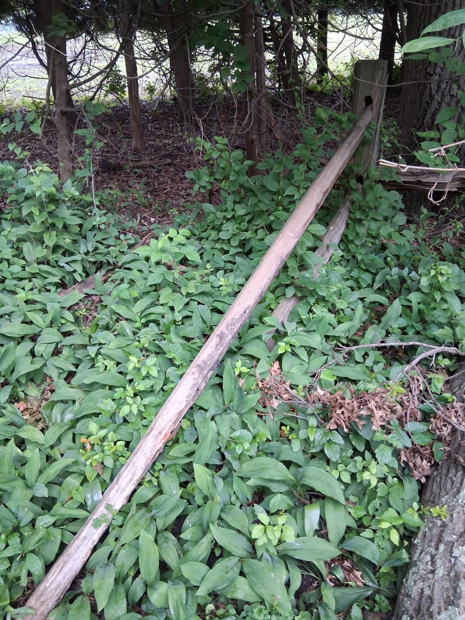 Image 4 Image 4