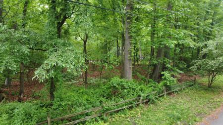 Lots 16-19 Birchwood Trail