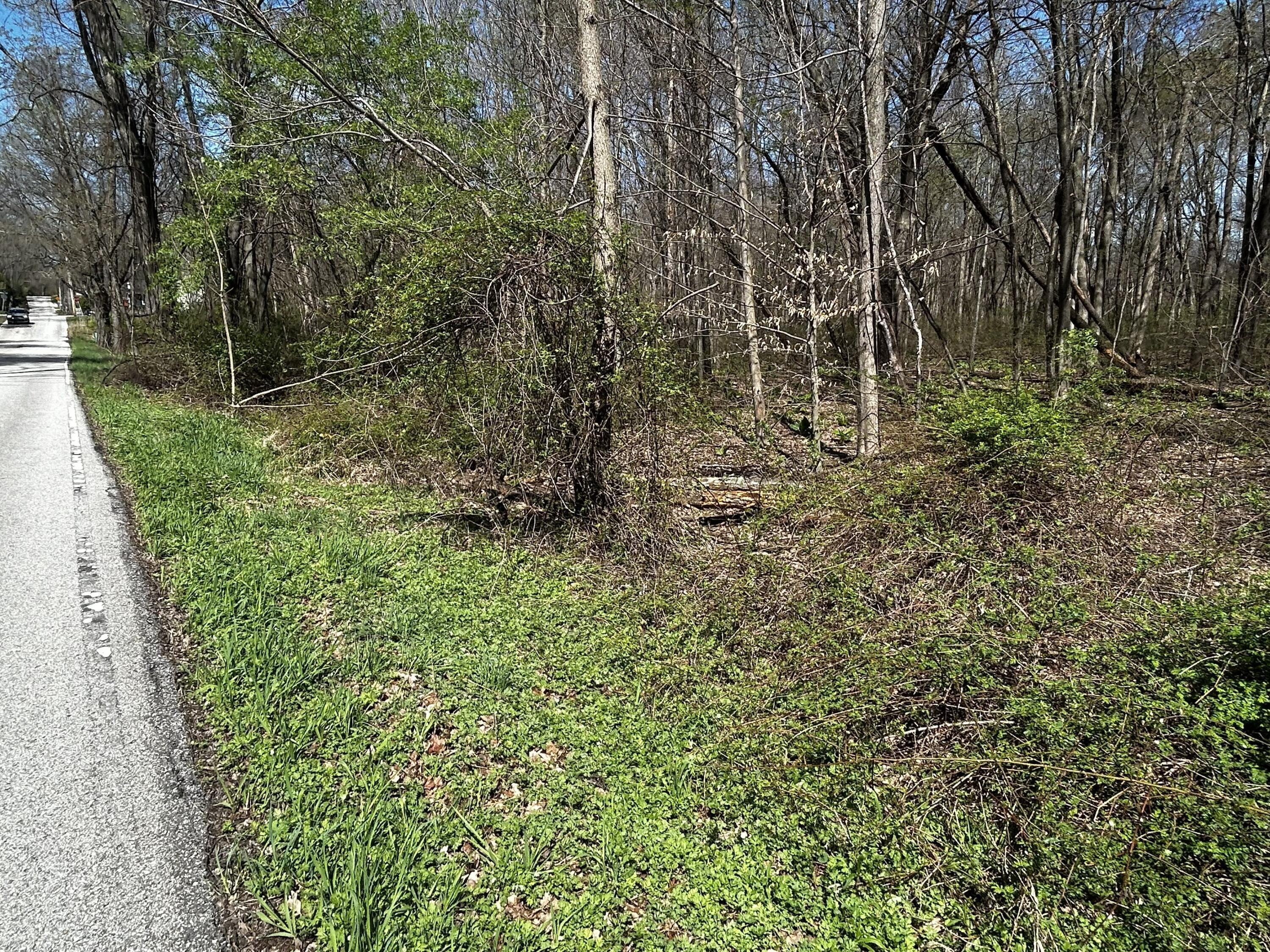 Image 4 Image 4