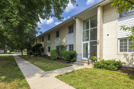 413 Birch Tree Lane