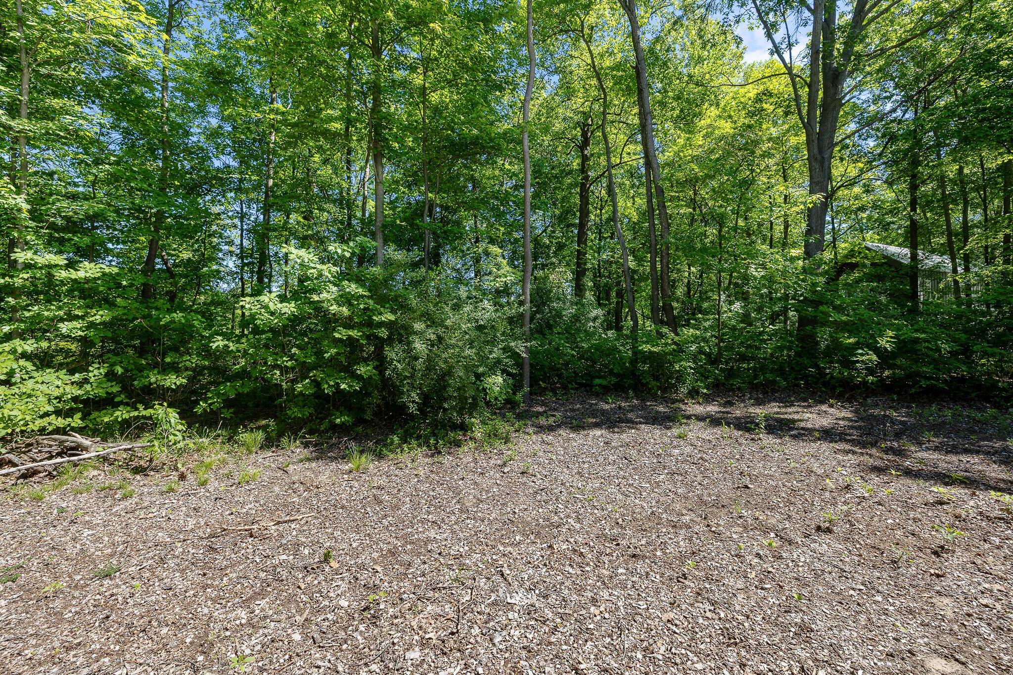 Image 4 Image 4