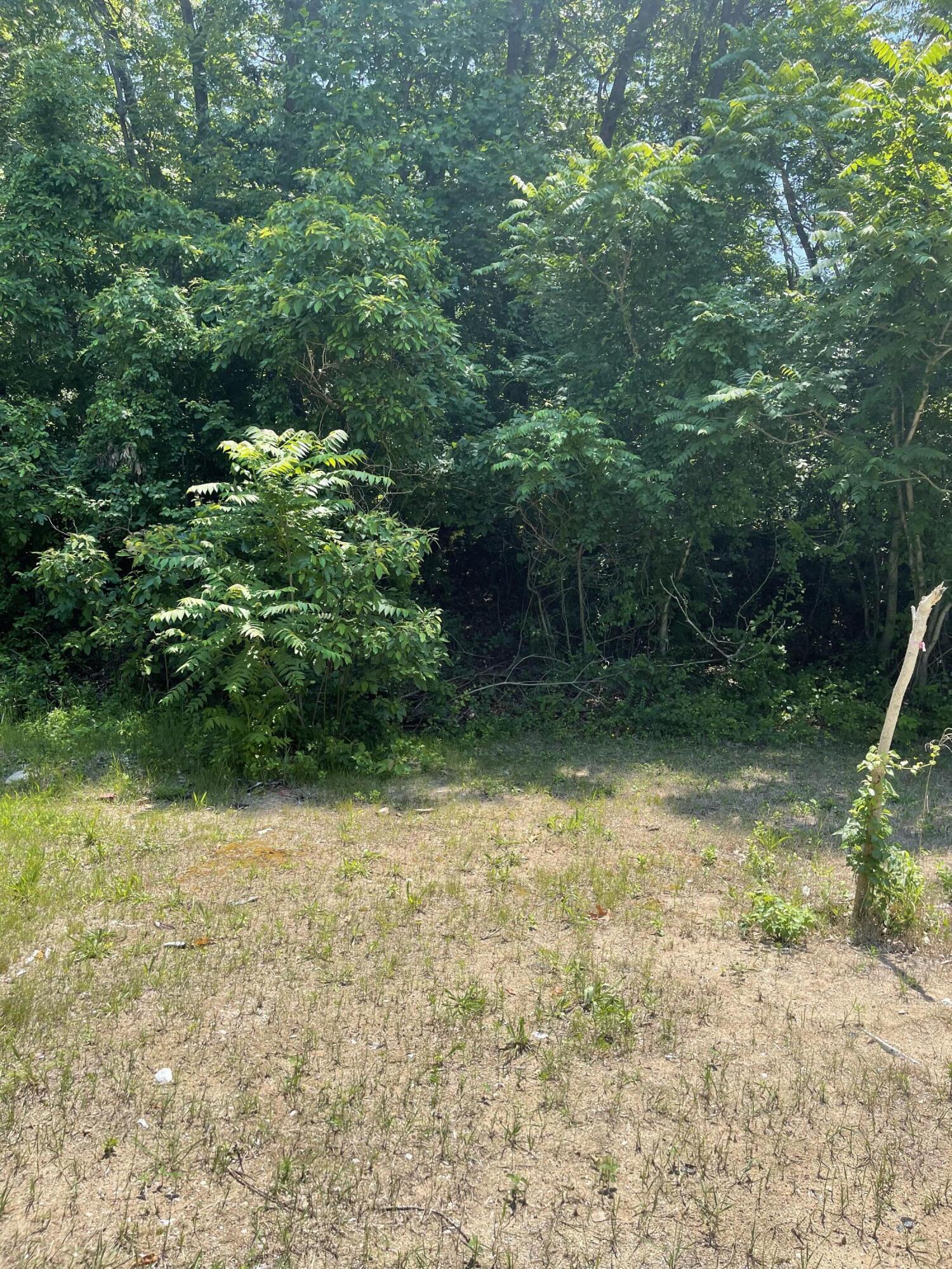 Image 2 Image 2