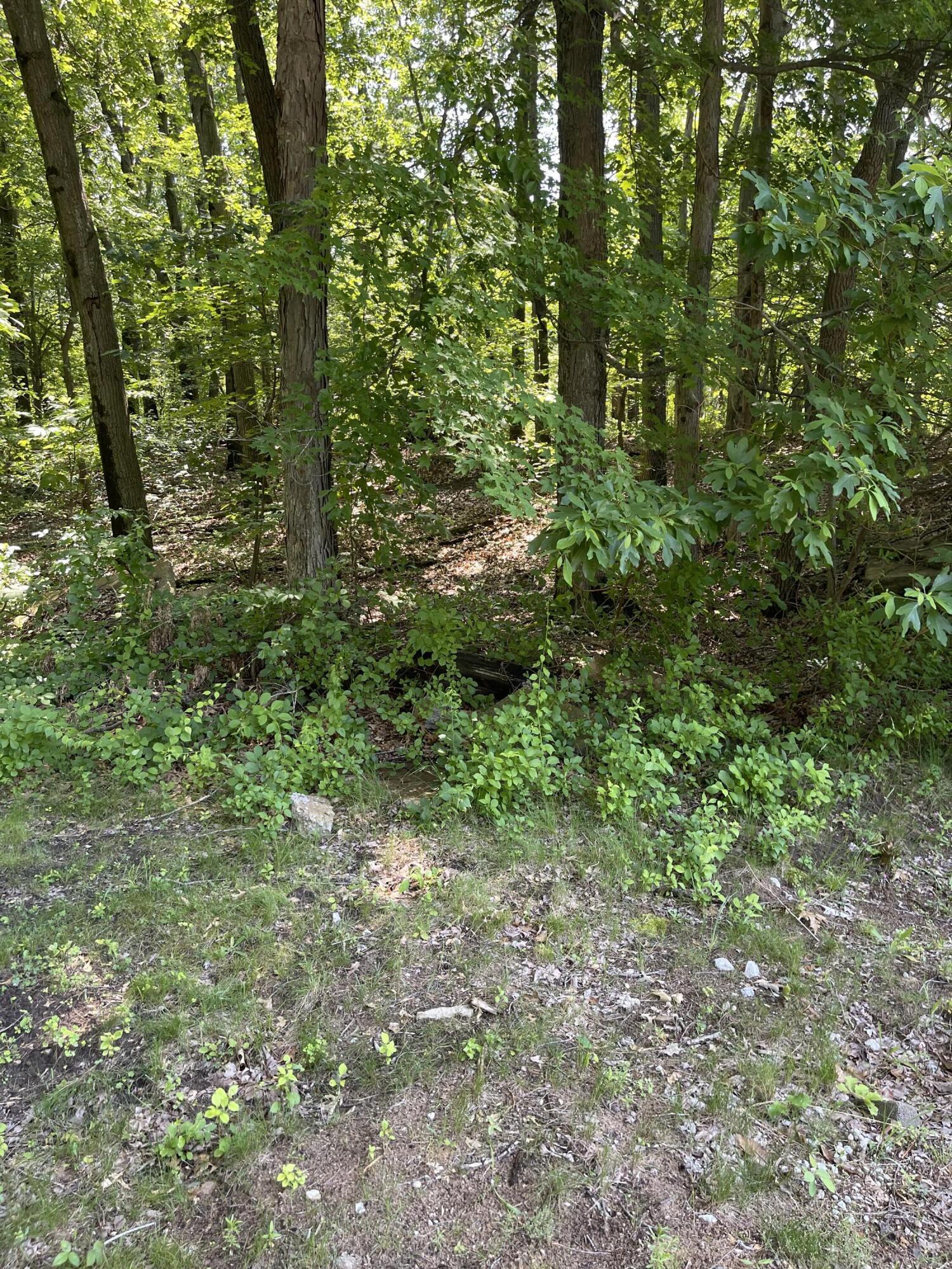 Image 3 Image 3
