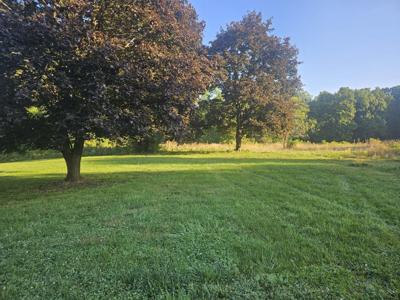 195 W Mcclung Road