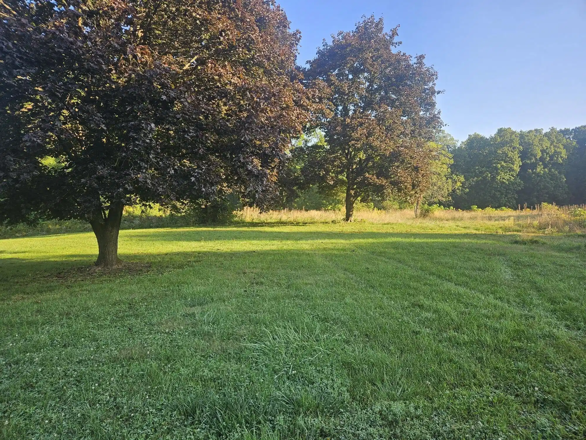 Image 1 Image 1