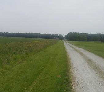 17022 (approx) Holtz Road