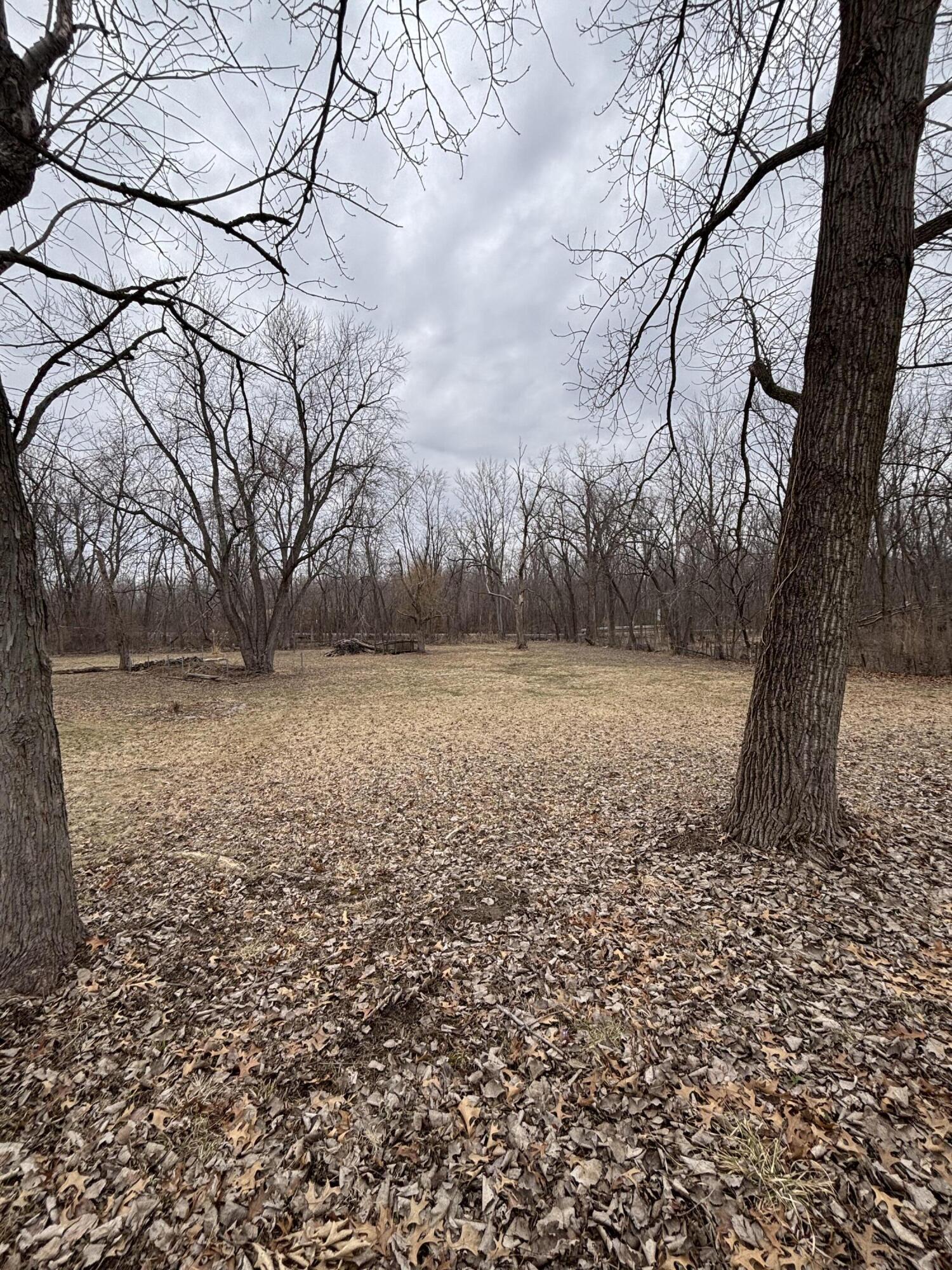 Image 1 Image 1
