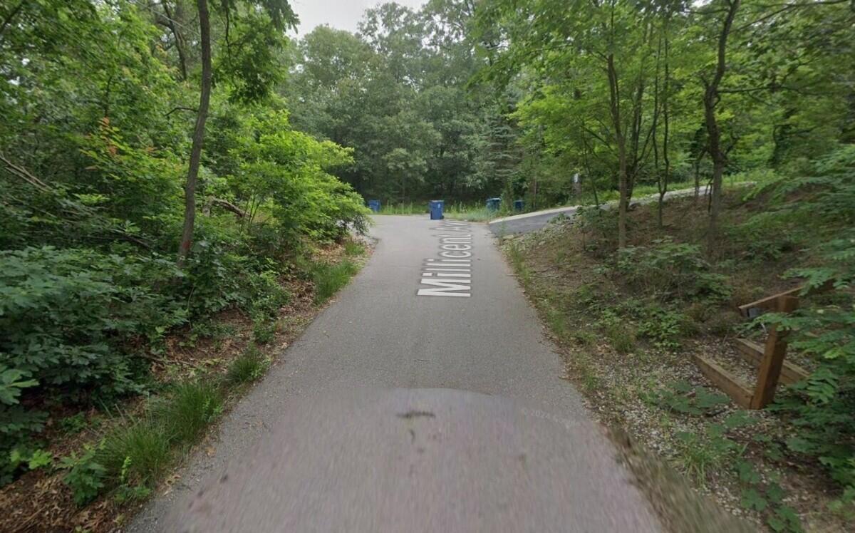 Image 1 Image 1